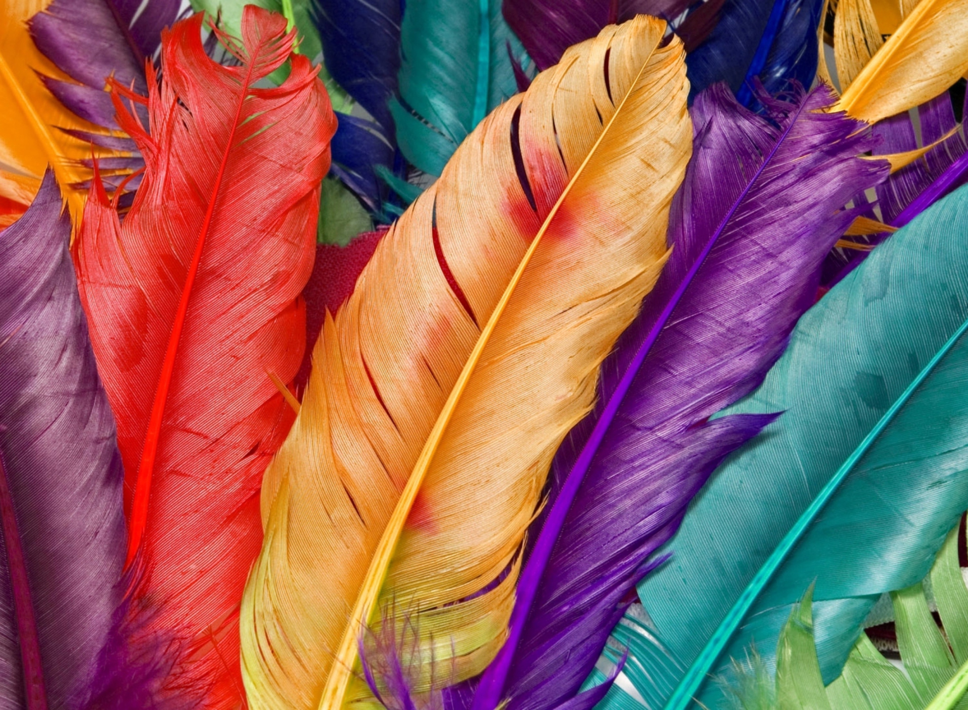 Fondo de pantalla Colored Feathers 1920x1408