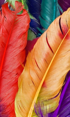 Fondo de pantalla Colored Feathers 240x400
