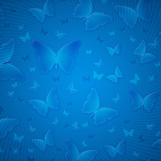 Blue Butterflies - Fondos de pantalla gratis para 1024x1024