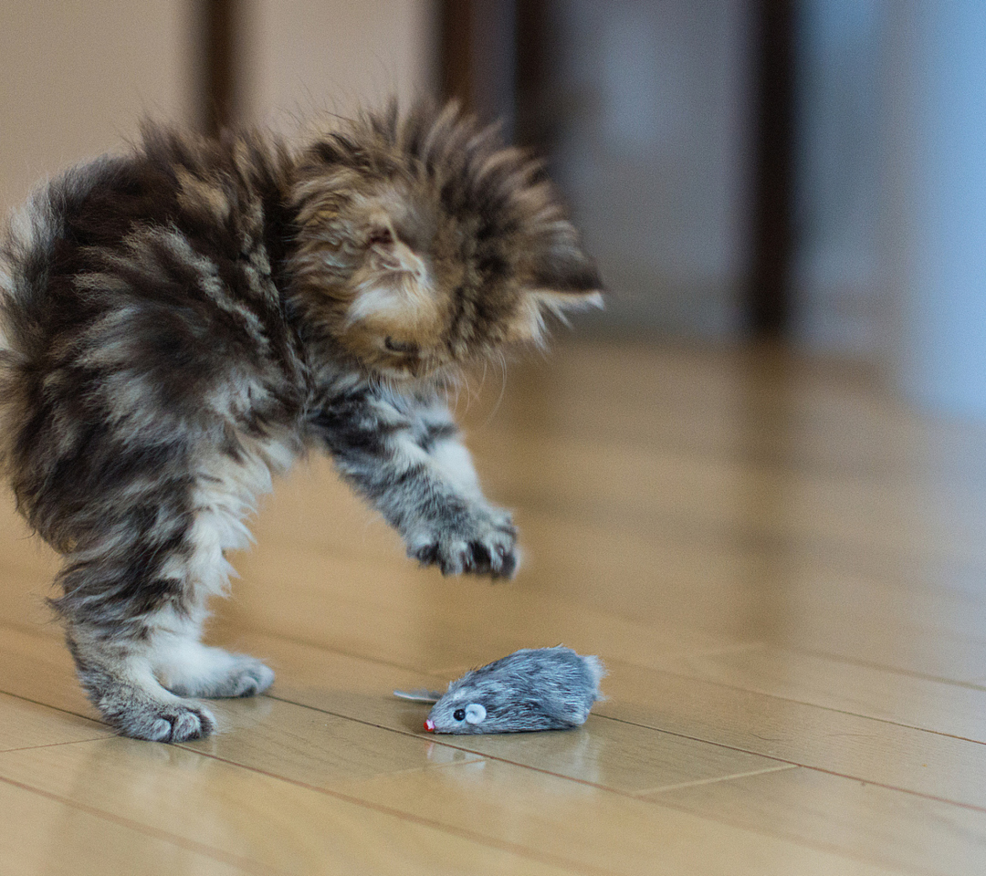 Funny Kitten Playing With Toy Mouse wallpaper 1080x960