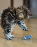 Funny Kitten Playing With Toy Mouse wallpaper 128x160