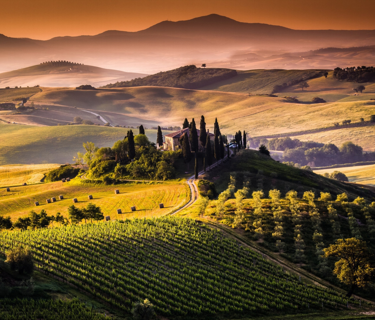 Field In Italy Toscana screenshot #1 1200x1024