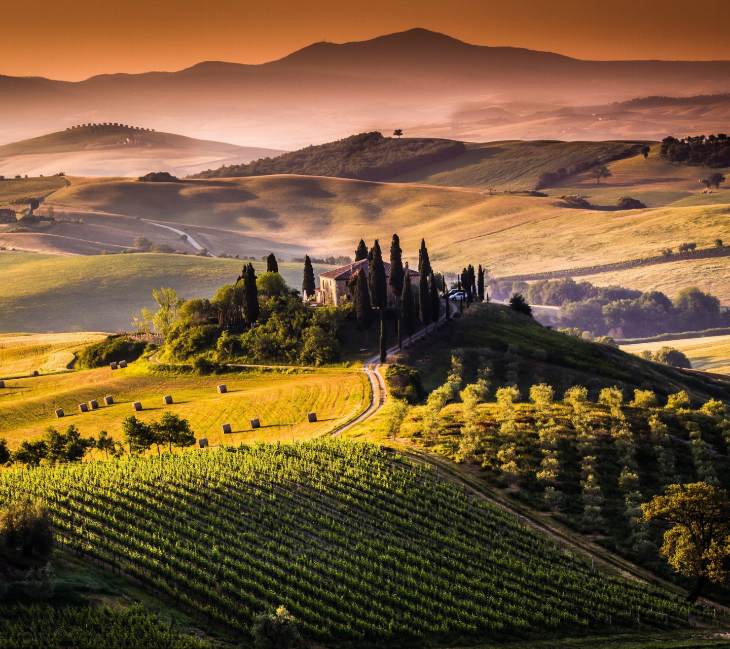 Fondo de pantalla Field In Italy Toscana 1440x1280