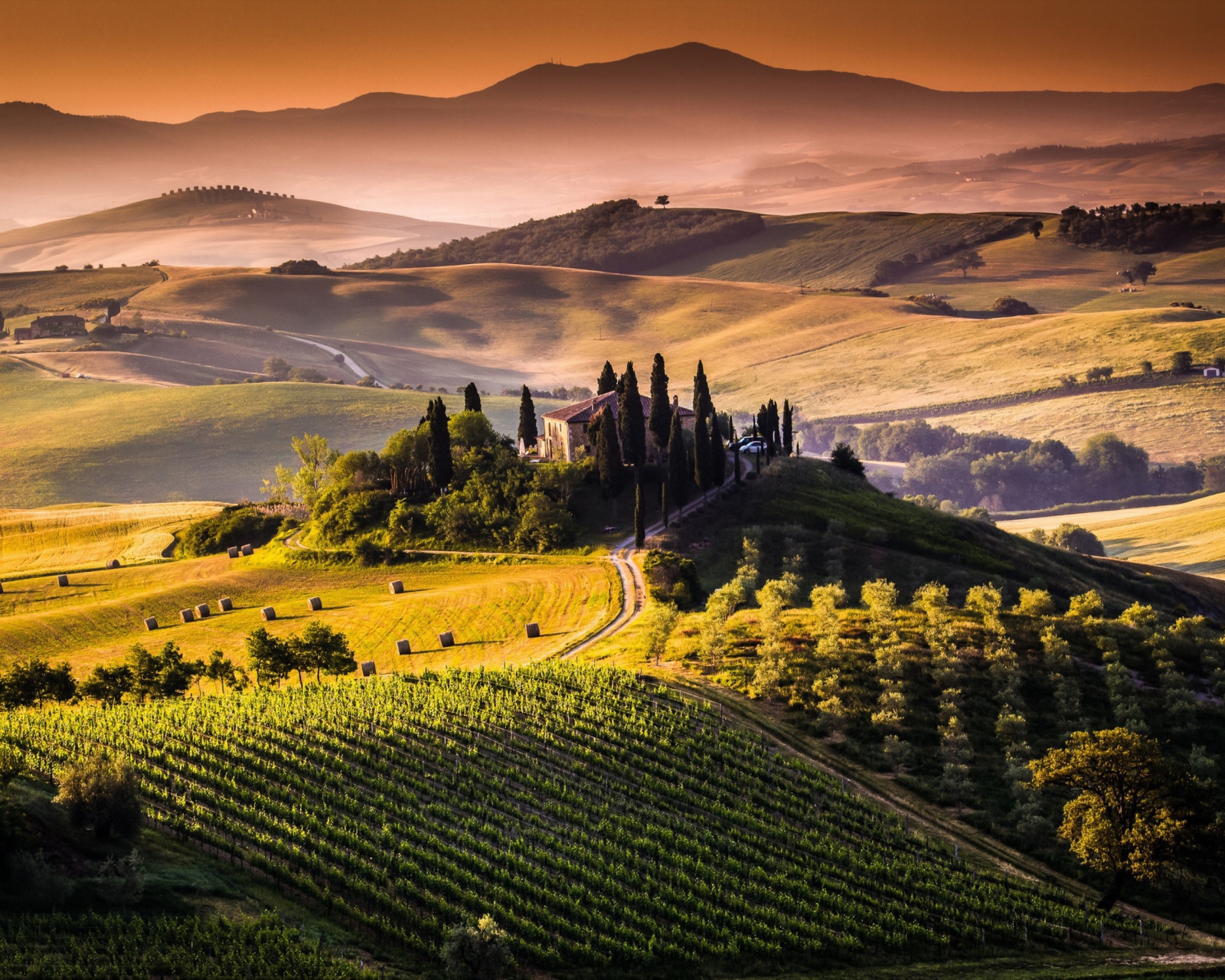 Das Field In Italy Toscana Wallpaper 1600x1280