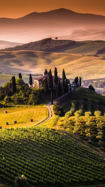 Screenshot №1 pro téma Field In Italy Toscana 360x640