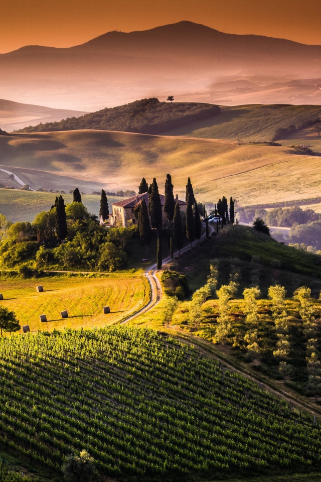 Fondo de pantalla Field In Italy Toscana 640x960