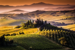 Field In Italy Toscana - Obrázkek zdarma pro Desktop Netbook 1366x768 HD