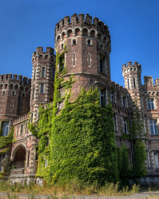 Chateau La Foret - Belgium Castle - Obrázkek zdarma pro iPhone 5S