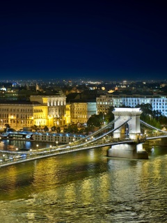 Das Budapest Danube Bridge Wallpaper 240x320