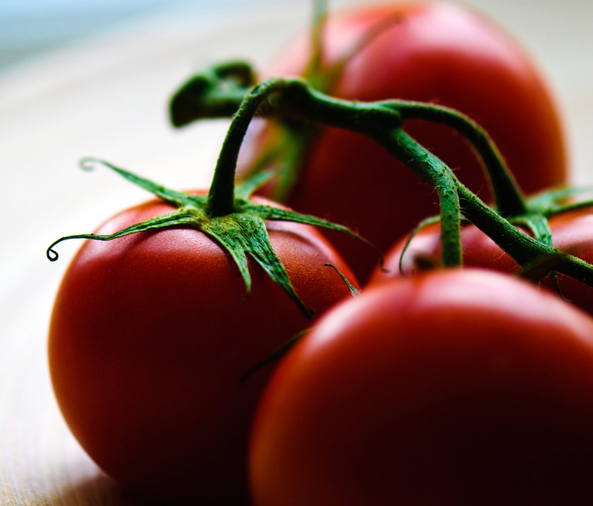Sfondi Tomatoes - Tomates 1200x1024