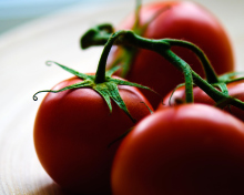 Sfondi Tomatoes - Tomates 220x176