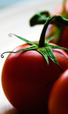 Sfondi Tomatoes - Tomates 240x400