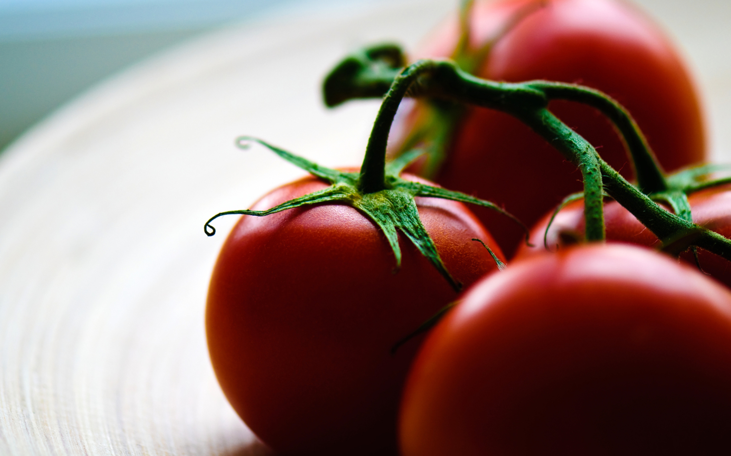 Sfondi Tomatoes - Tomates 2560x1600