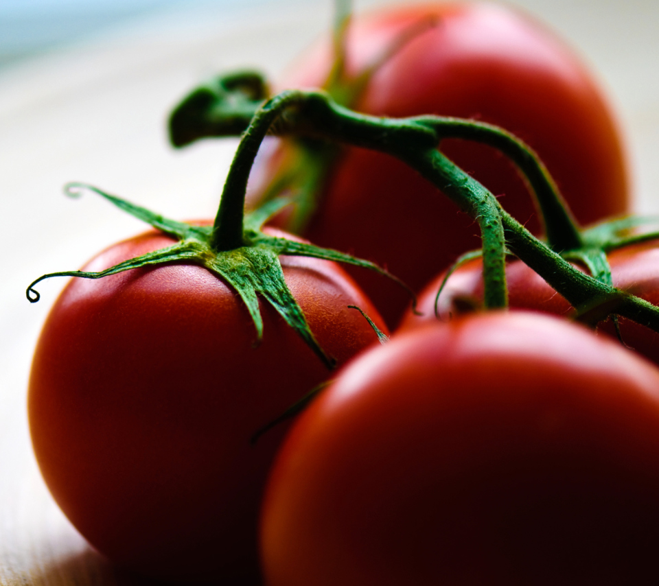 Das Tomatoes - Tomates Wallpaper 960x854