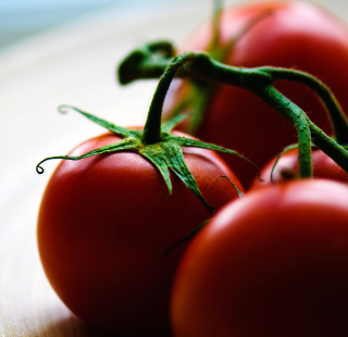 Kostenloses Tomatoes - Tomates Wallpaper für iPad