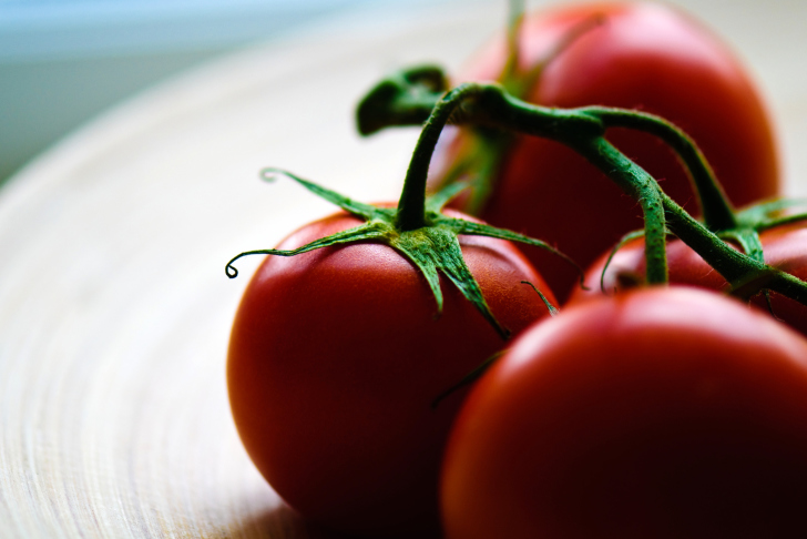 Tomatoes - Tomates wallpaper