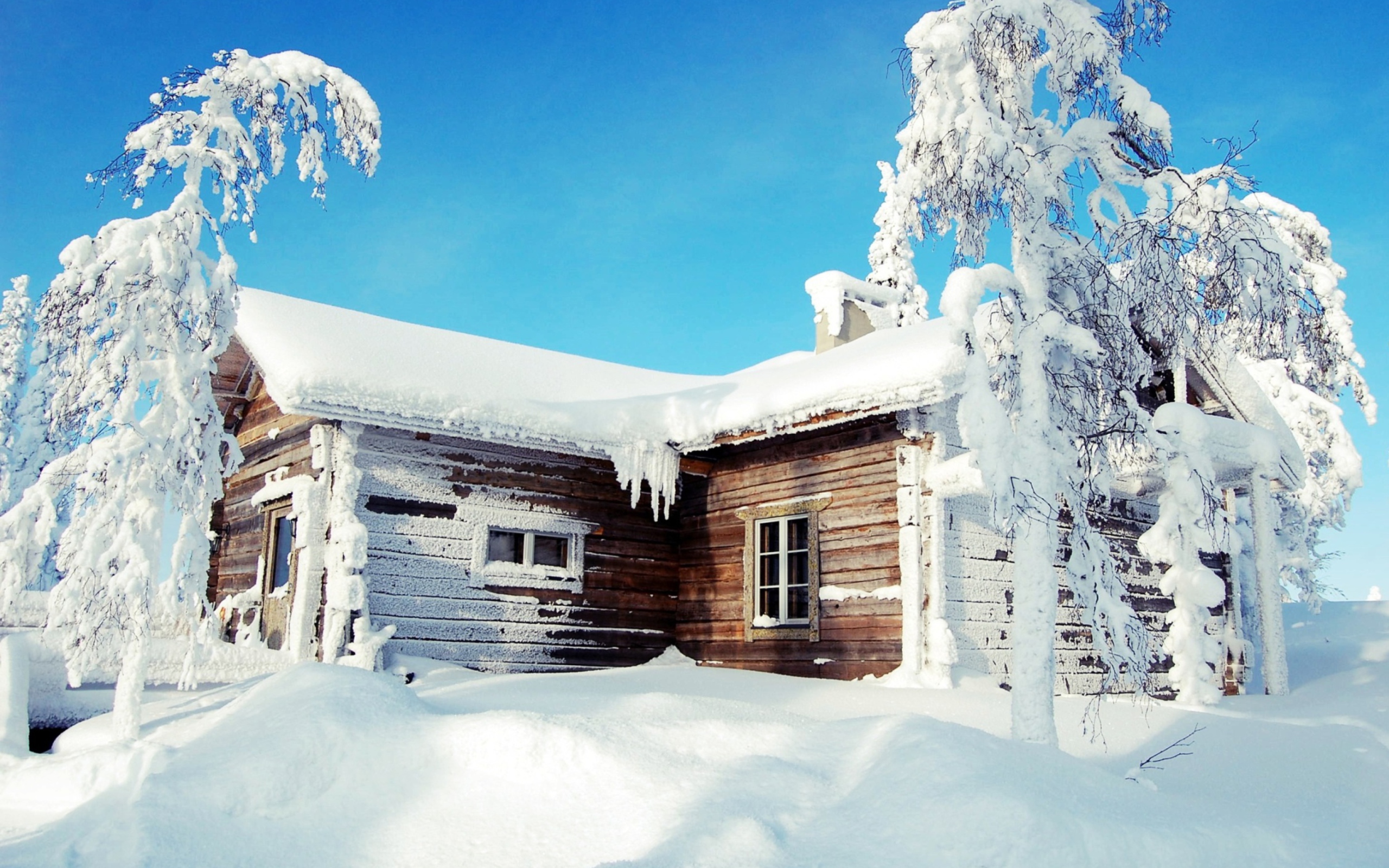 Screenshot №1 pro téma Winter House 2560x1600