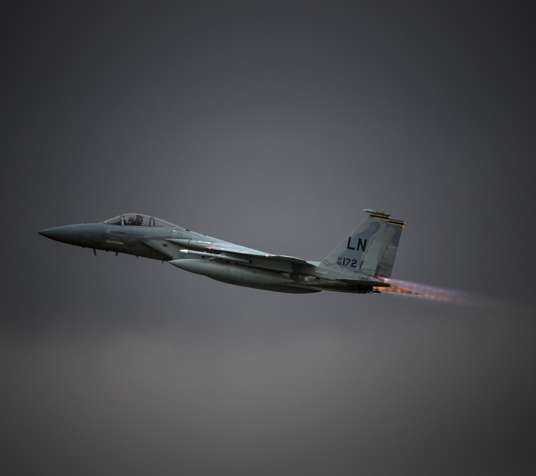 Screenshot №1 pro téma McDonnell Douglas F-15 Eagle Fighter Aircraft 1080x960