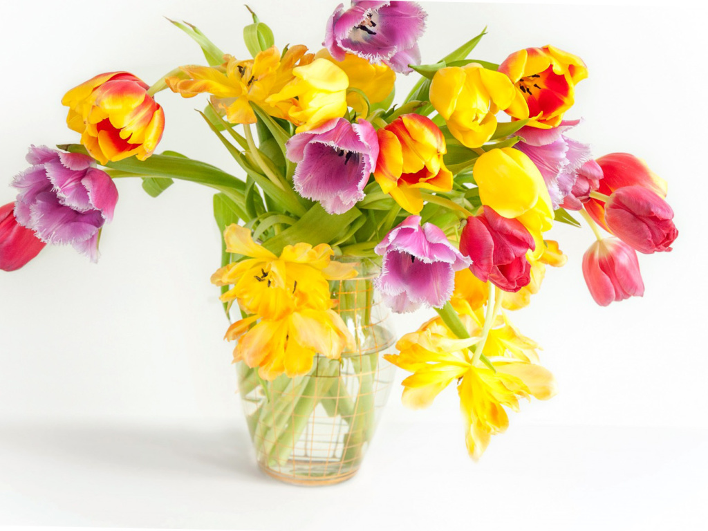 Fresh Spring Tulips screenshot #1 1024x768