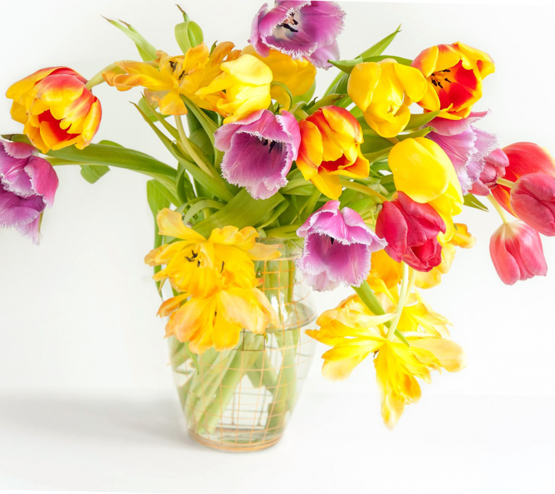 Fondo de pantalla Fresh Spring Tulips 1080x960