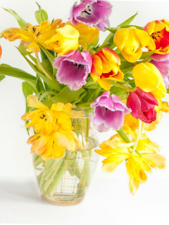 Fresh Spring Tulips screenshot #1 240x320