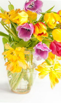 Fresh Spring Tulips screenshot #1 240x400