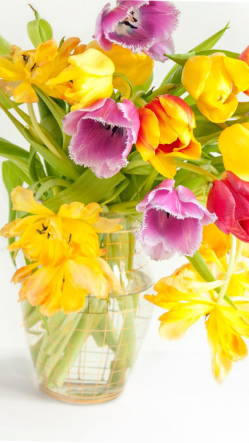 Fondo de pantalla Fresh Spring Tulips 360x640