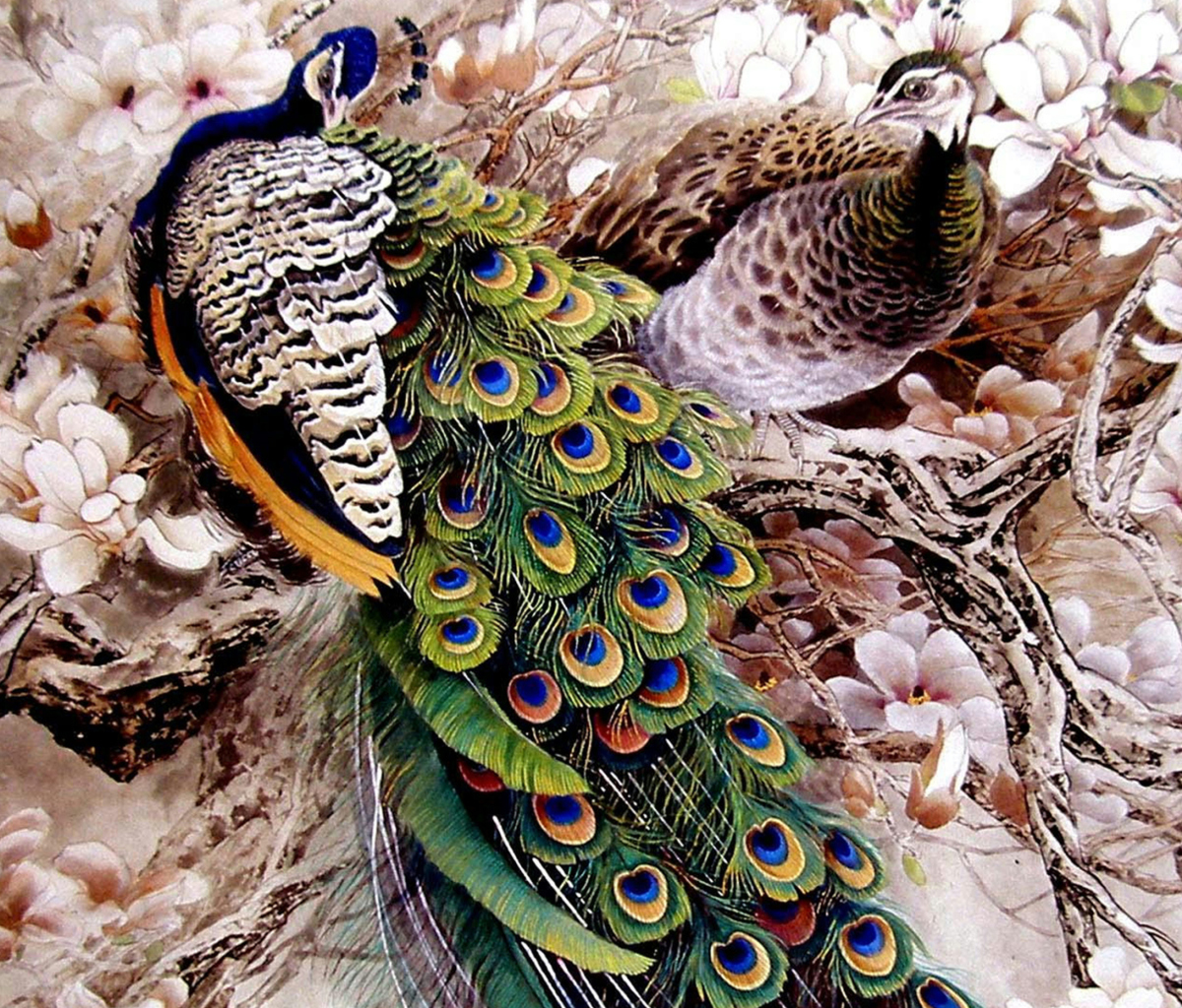 Sfondi Peacock Painting 1200x1024