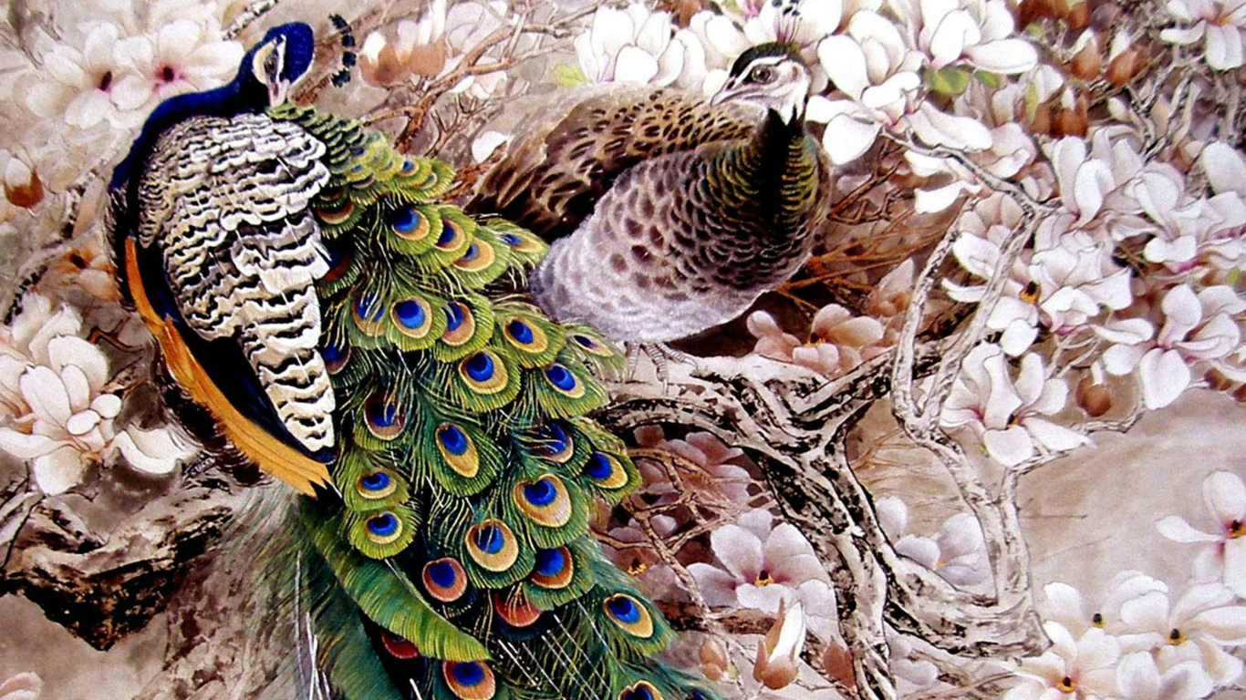 Обои Peacock Painting 1366x768
