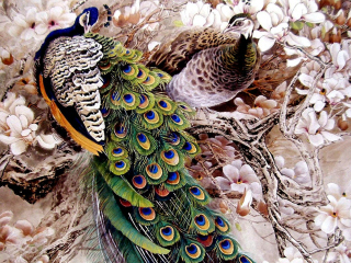 Das Peacock Painting Wallpaper 320x240