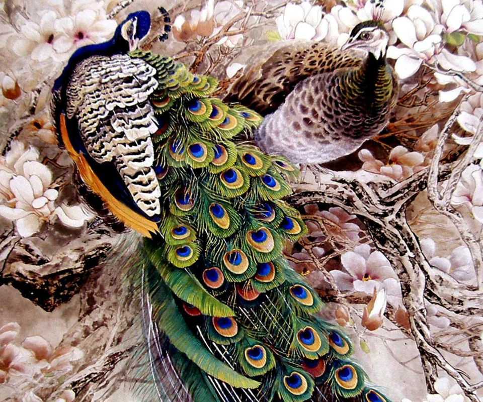 Обои Peacock Painting 960x800