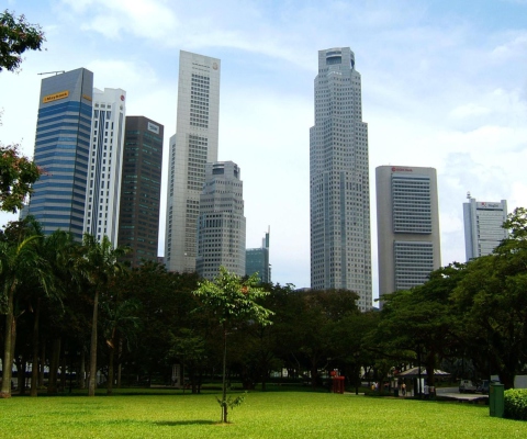 Fondo de pantalla Singapore Park 480x400