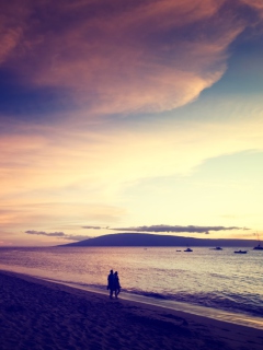 Fondo de pantalla Beach Promenade 240x320