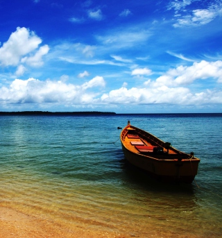 Boat On Sea Shore - Obrázkek zdarma pro 208x208