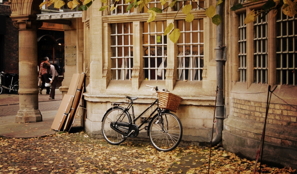 Bicycle And Autumn screenshot #1 1024x600