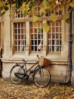 Bicycle And Autumn screenshot #1 240x320