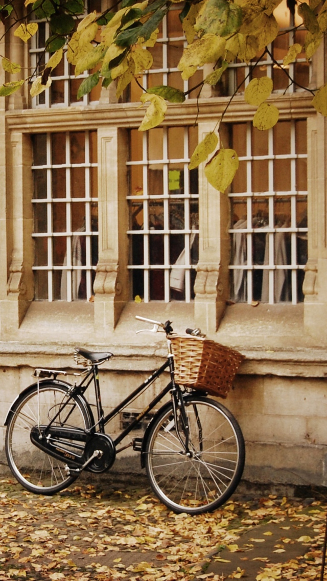 Fondo de pantalla Bicycle And Autumn 640x1136