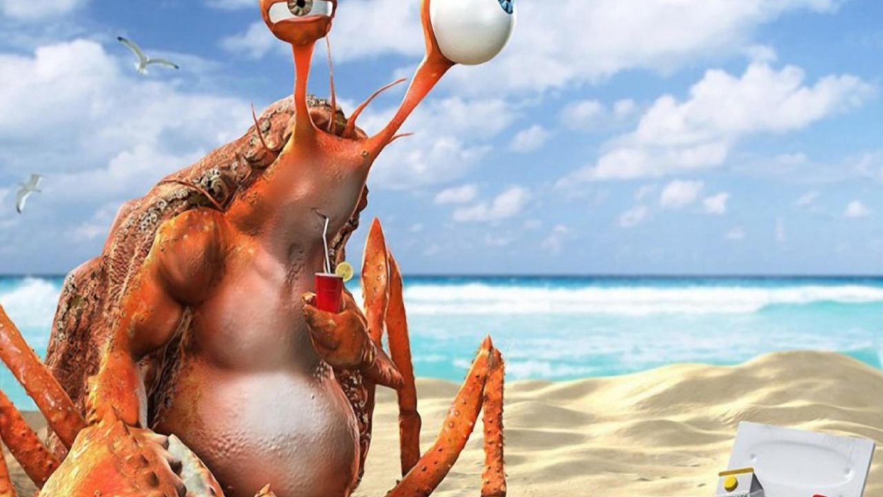 Fondo de pantalla Lazy Crab On Beach 1280x720