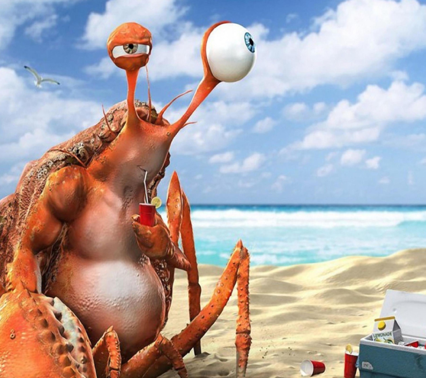 Das Lazy Crab On Beach Wallpaper 1440x1280