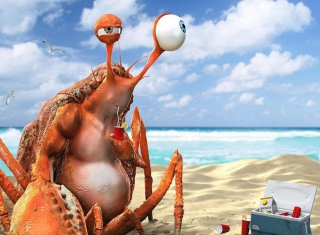 Lazy Crab On Beach Picture for Android, iPhone and iPad