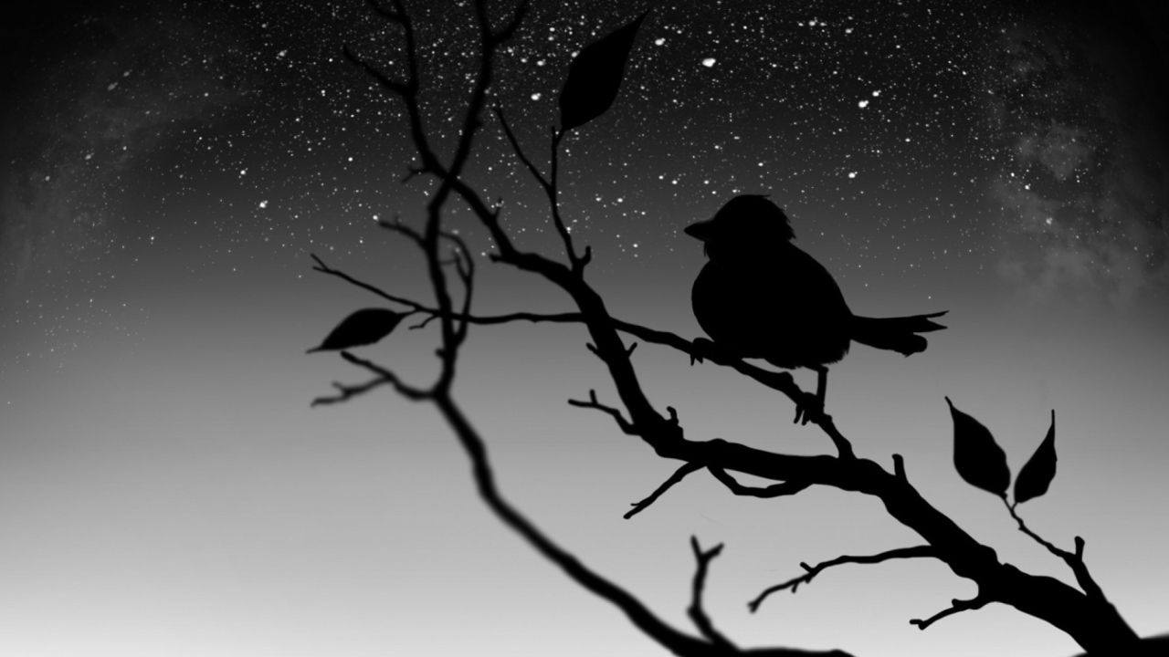 Black Bird screenshot #1 1280x720