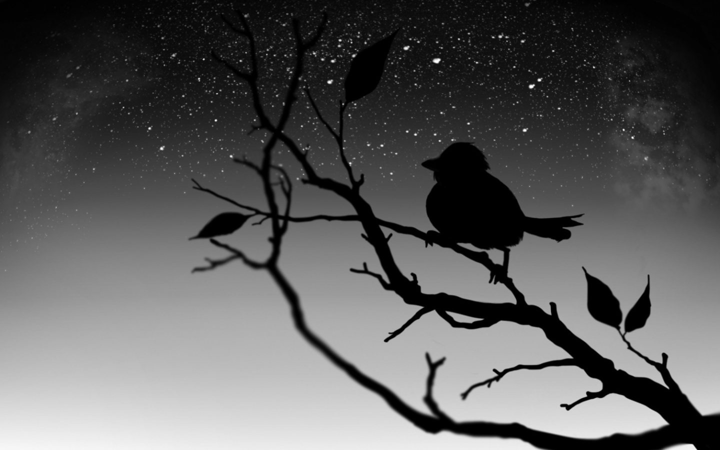 Screenshot №1 pro téma Black Bird 1440x900