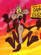 Screenshot №1 pro téma Wile E Coyote  Looney Tunes 132x176