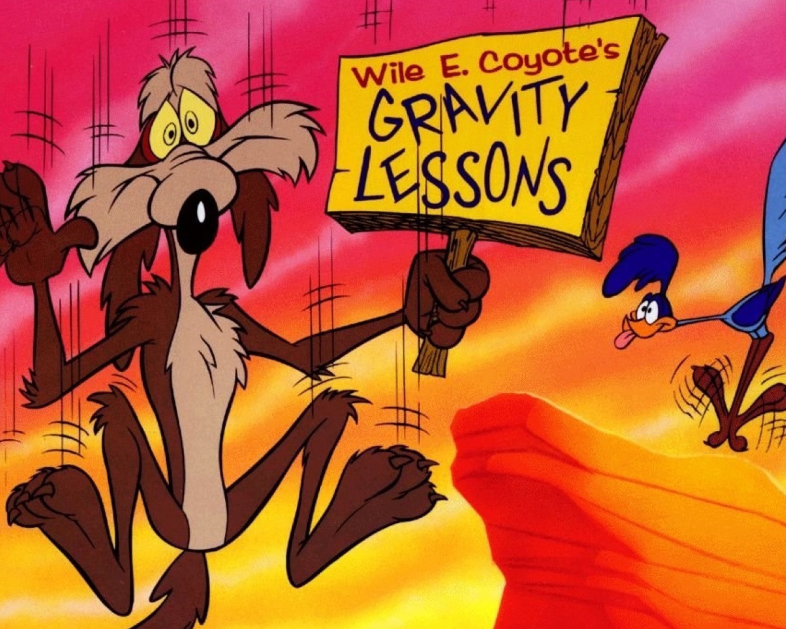 Обои Wile E Coyote  Looney Tunes 1600x1280