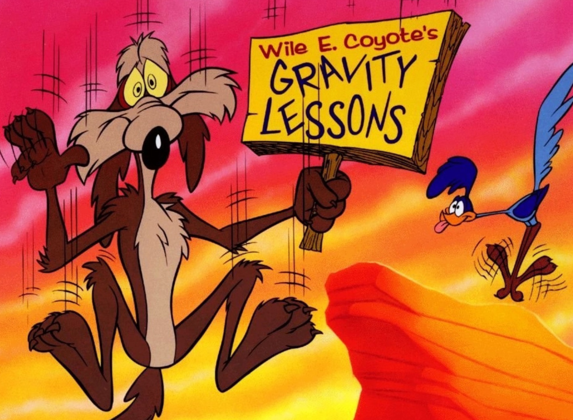 Обои Wile E Coyote  Looney Tunes 1920x1408