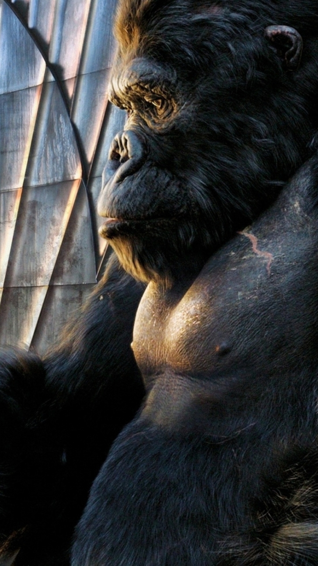 Screenshot №1 pro téma King Kong Film 1080x1920