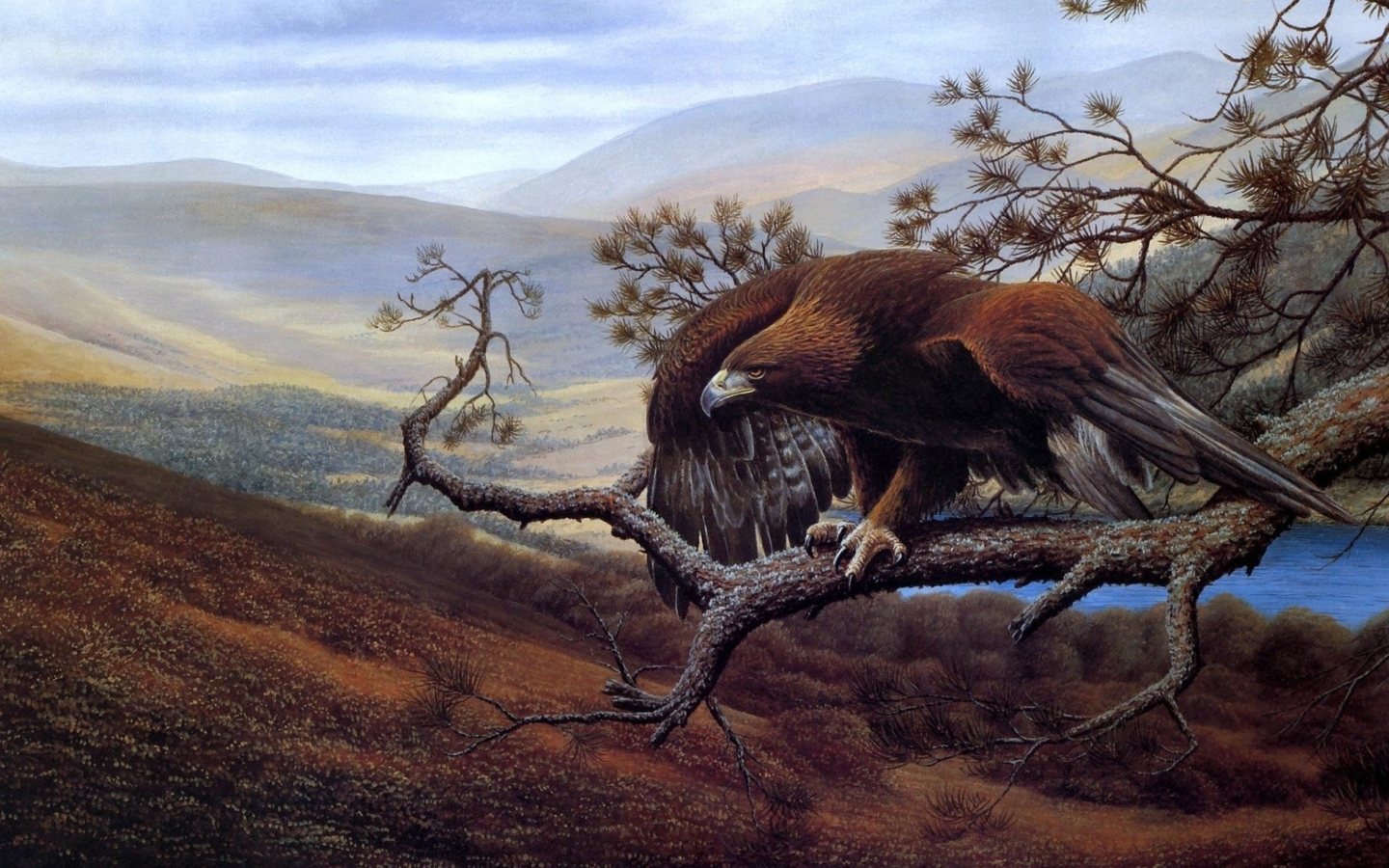 Eagle On Branch wallpaper 1440x900