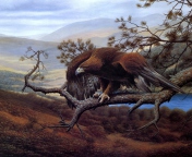 Das Eagle On Branch Wallpaper 176x144
