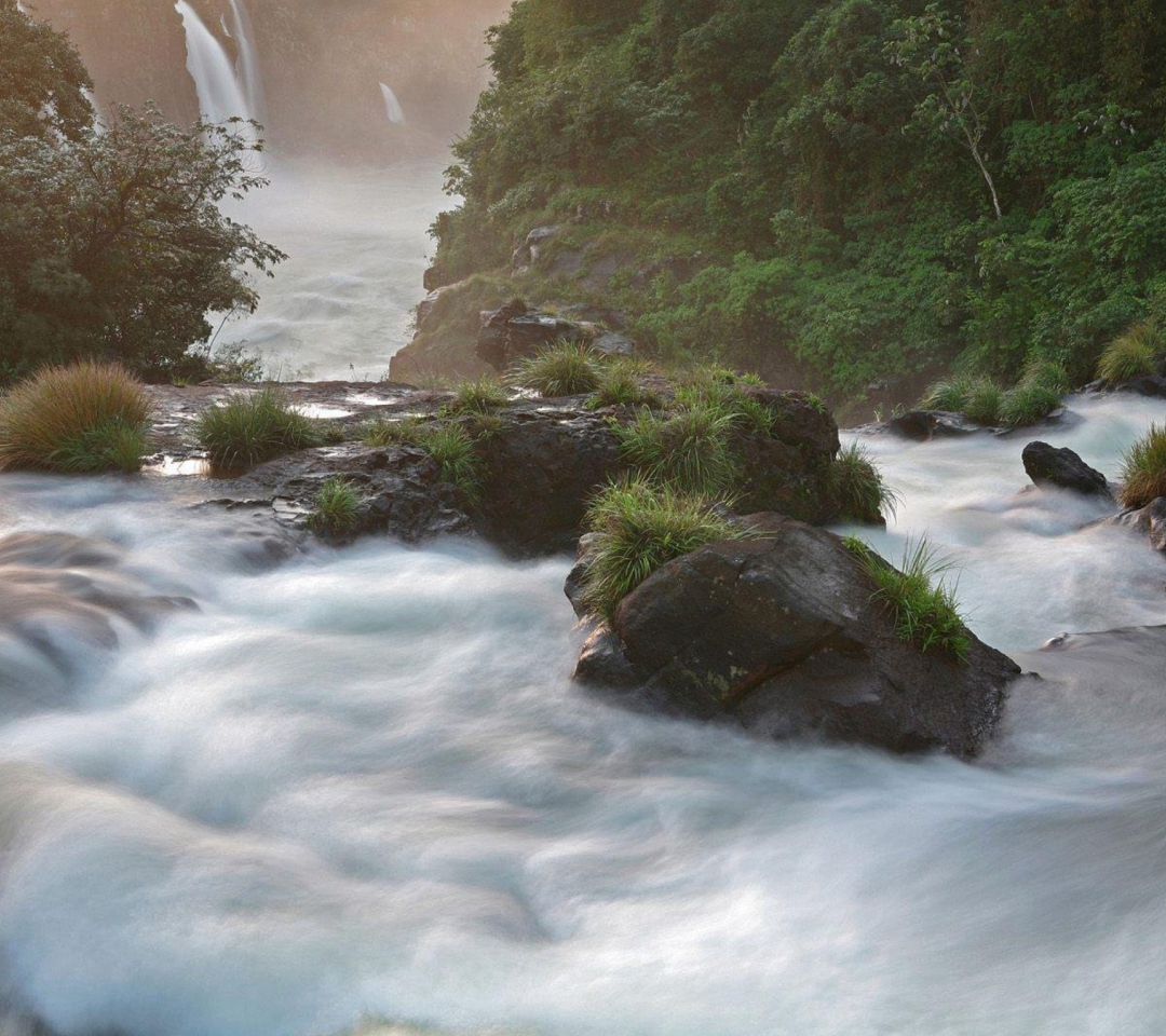 Sfondi Tropical Forest Waterfall 1080x960