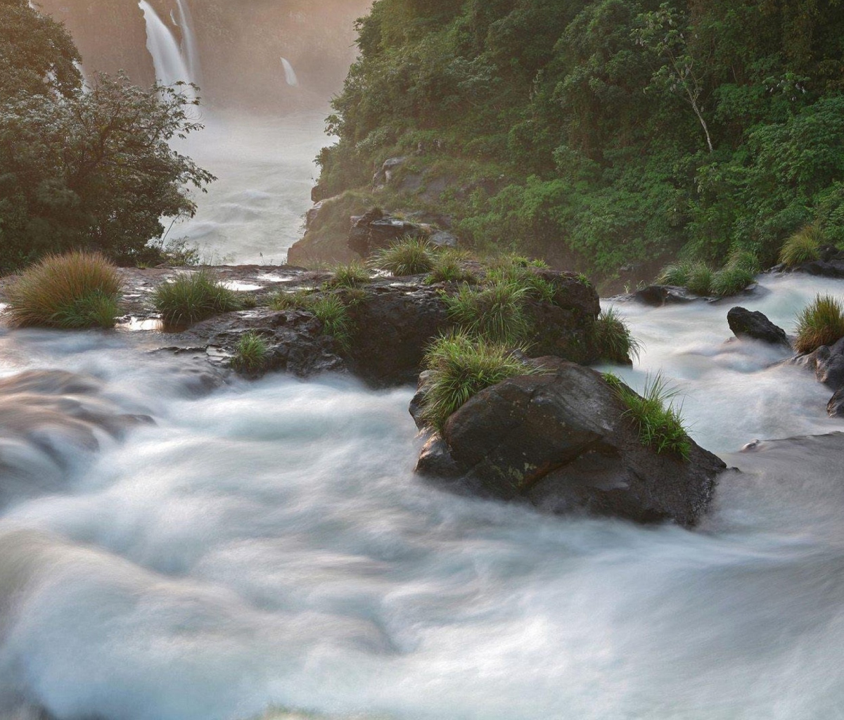 Screenshot №1 pro téma Tropical Forest Waterfall 1200x1024